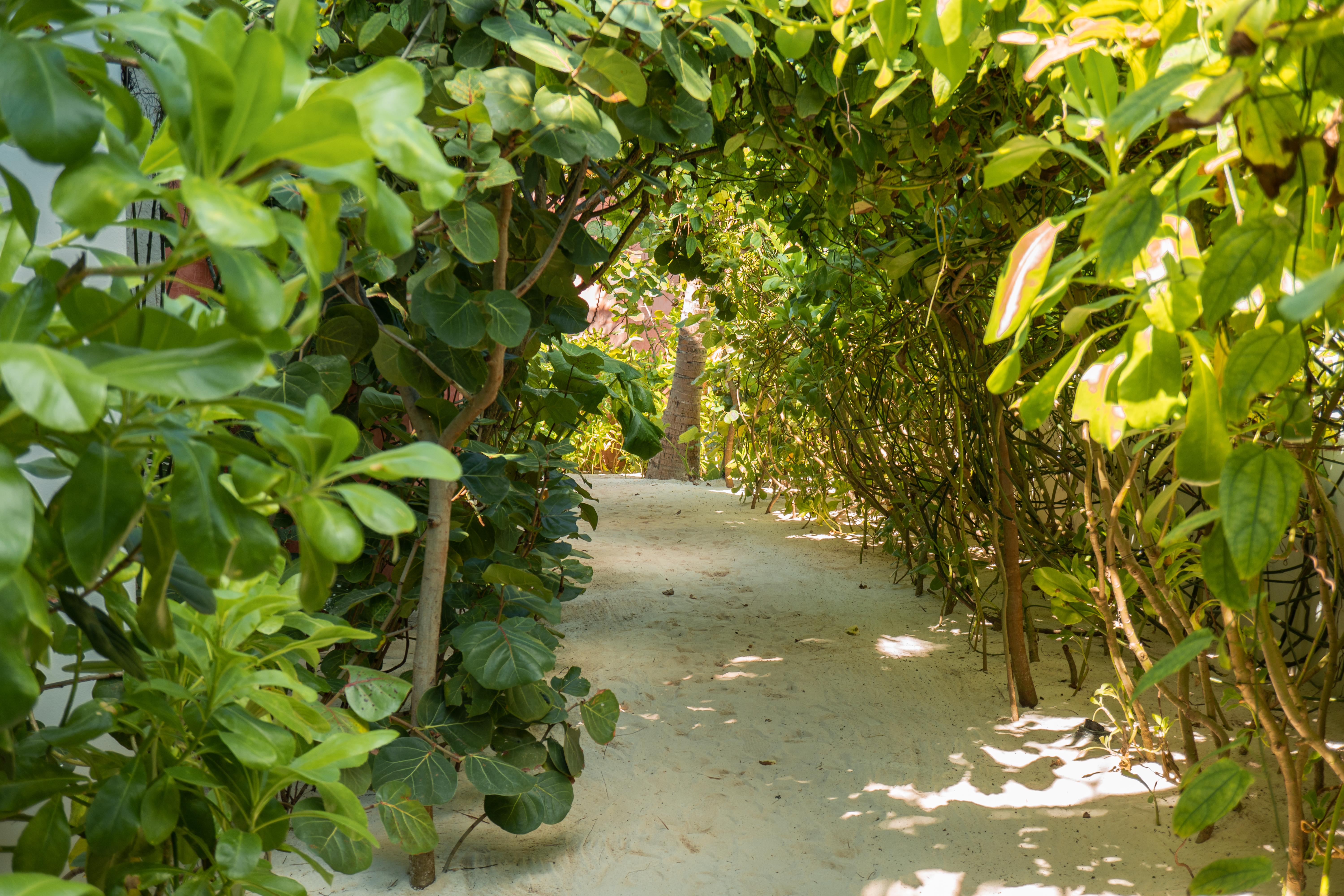 Tago Tulum By G Hotels Εξωτερικό φωτογραφία
