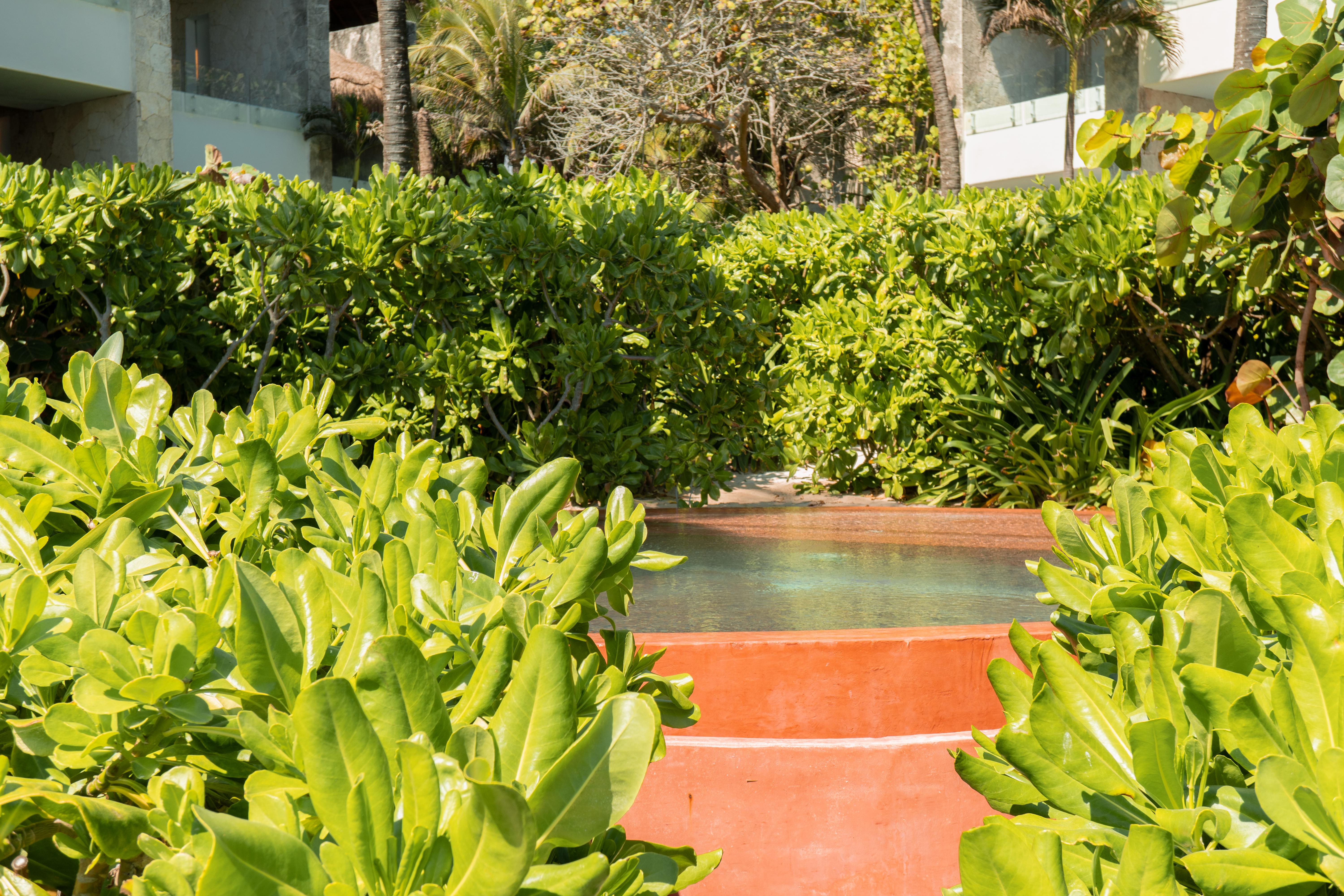 Tago Tulum By G Hotels Εξωτερικό φωτογραφία