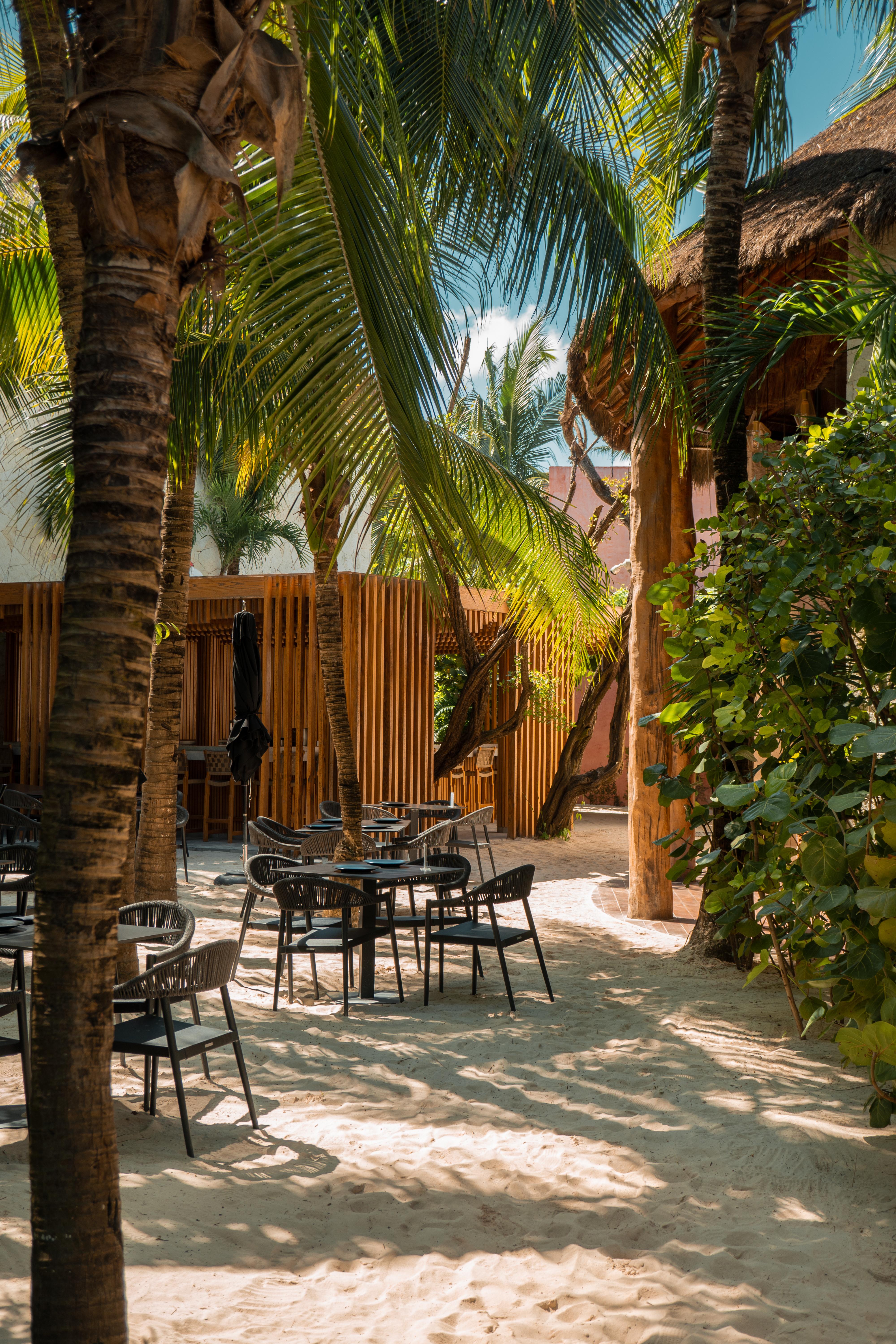 Tago Tulum By G Hotels Εξωτερικό φωτογραφία